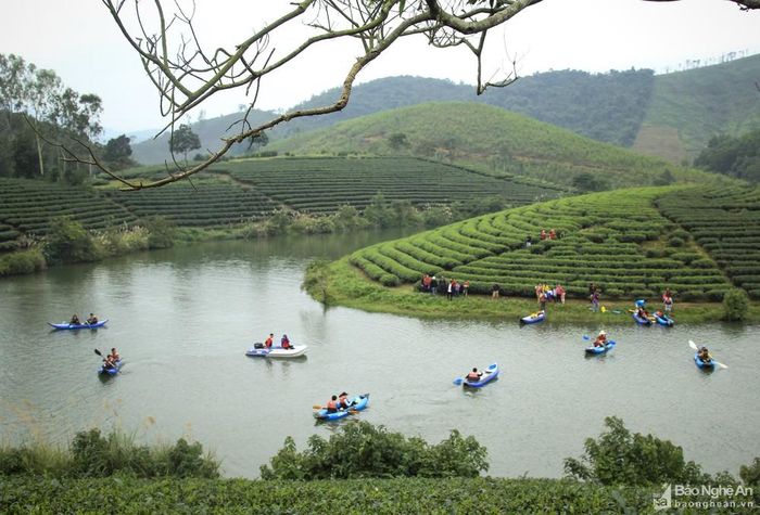 Với kỳ nghỉ ngắn ngủi, thì Khu di tích Kim Liên, chùa Đại Tuệ, đảo Chè – đập Cầu Cau, đập Vệ Vừng, Vườn thú Safari Diễn Lâm, Chợ biên huyện Kỳ Sơn... là những điểm đến rất đáng quan tâm.