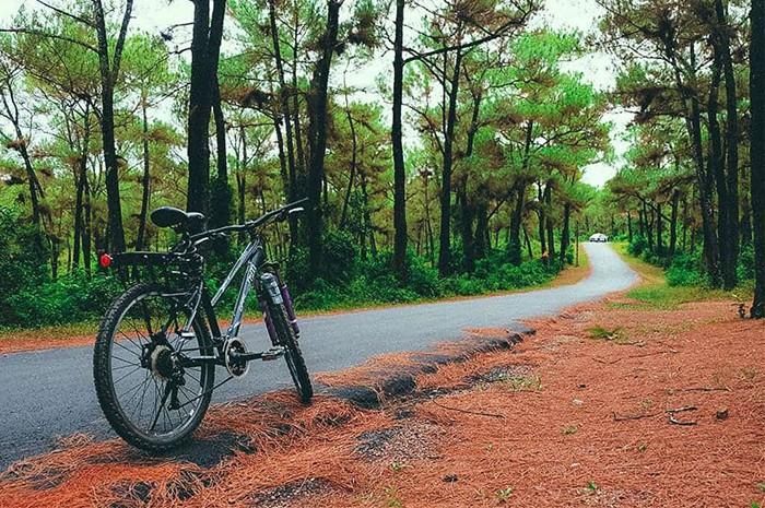 Không mất nhiều thời gian tìm hiểu, địa điểm đẹp như mơ trong "Mắt biếc" chính là đồi Thiên An, Huế. Nơi đây được ví như Đà Lạt của xứ cố đô.