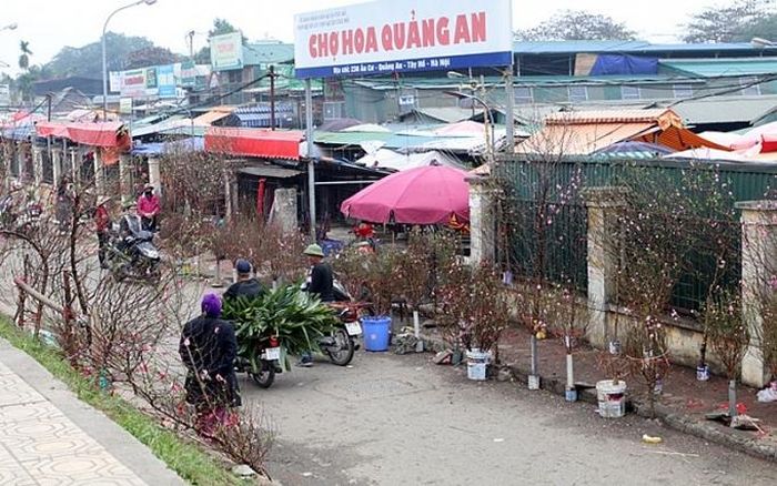 Do gần một tháng nữa mới đến Tết nên khu vực này chưa có nhiều khách hàng