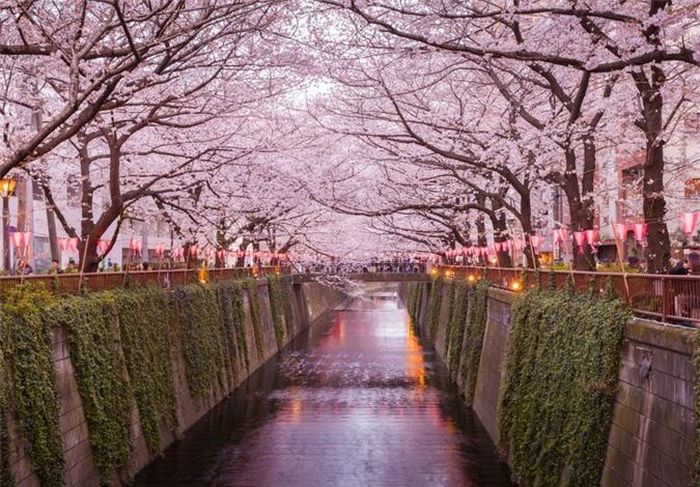 Tokyo, Nhật Bản
