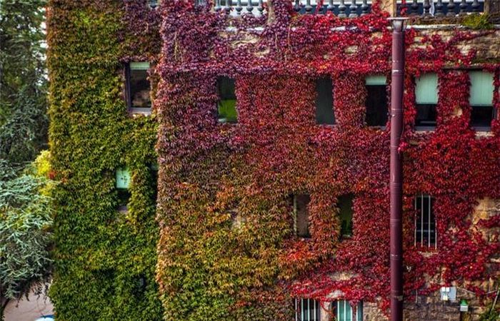 Luxembourg