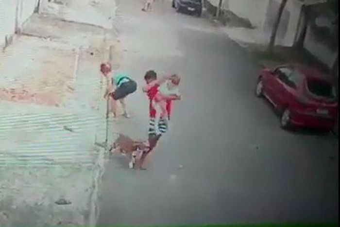 Patrick đã dũng cảm lao vào giải cứu...
