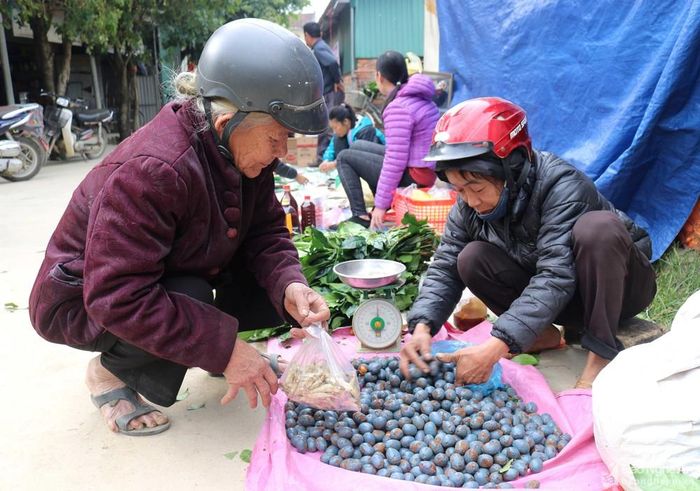 Dẫu chợ quê bây giờ hàng hóa rất phong phú đa dạng, nhưng đặc sản làng quê với ưu điểm ngon, sạch vẫn được người tiêu dùng lựa chọn. Mỗi vùng quê, chợ quê có những loại đặc sản riêng, mùa nào thức nấy. Trong ảnh: Quả cọ được bán ở chợ Phuống, xã Thanh Giang, huyện Thanh Chương