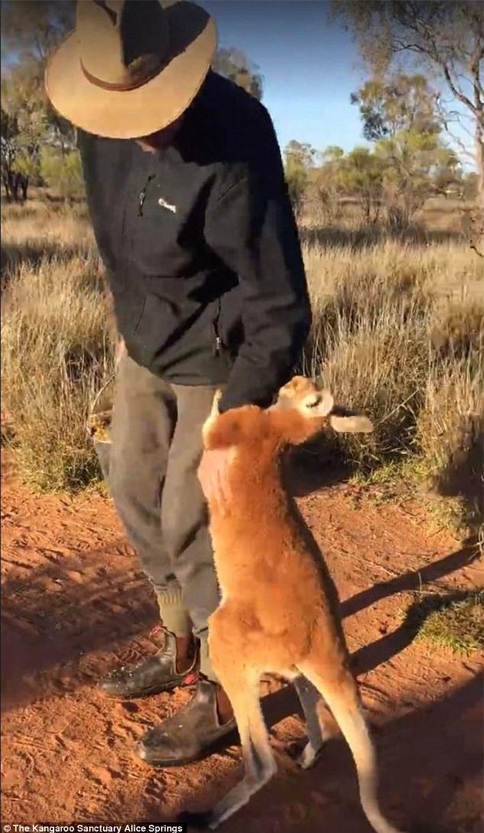  Johanssen cố gắng níu kéo tay người chăm sóc khi ông rời đi sau khi cho nó ăn. (Nguồn: Daily Mail) 