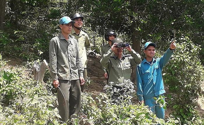 Anh em ở chốt Vùng Kho đi tuần tra rừng. Ảnh: BH