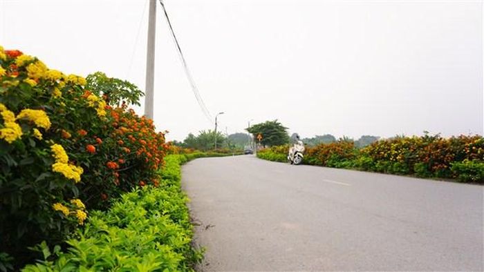 Tuyến đường nở hoa tại xã Yên Viên