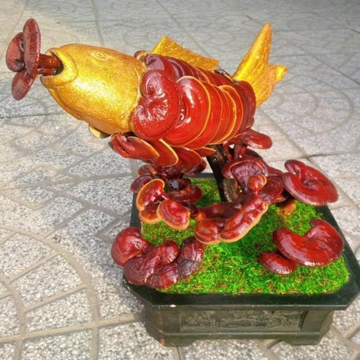 Dân Việt đua mua bánh truyền thống Trung Quốc về cúng Tết.