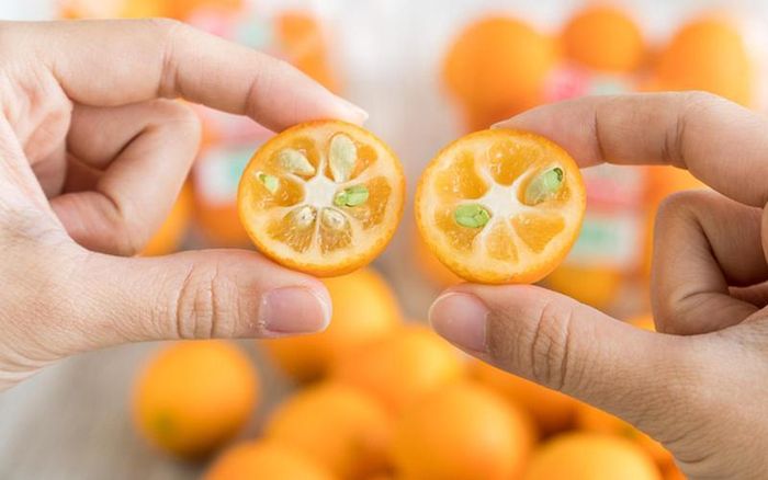Quất Nhật Kinkan có thể ăn cả vỏ.