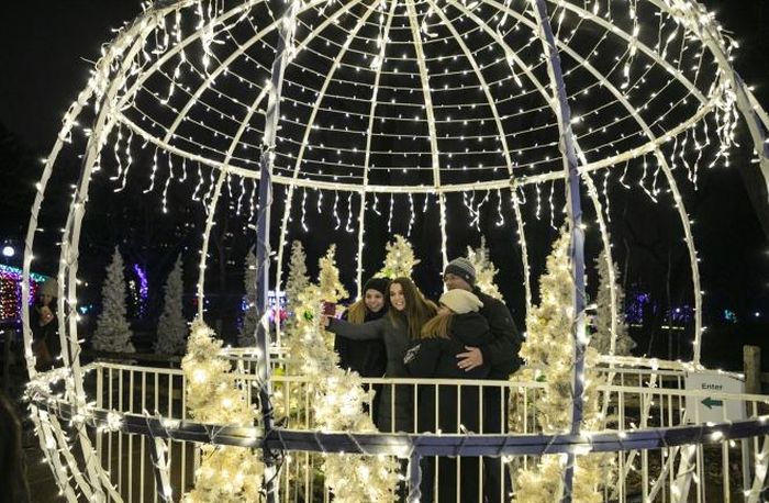 Du khách chiêm ngưỡng các tác phẩm nghệ thuật rực rỡ tại Vườn thú ánh sáng Zoolights để chào đón Năm Mới 2020 ở công viên Lincoln, Chicago, Mỹ