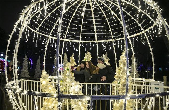 Du khách chiêm ngưỡng các tác phẩm nghệ thuật rực rỡ tại Vườn thú ánh sáng Zoolights để chào đón Năm Mới 2020 ở công viên Lincoln, Chicago, Mỹ. Ảnh: THX/TTXVN