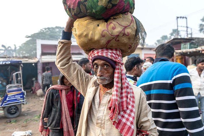  Varanasi mãi là suối nguồn cảm xúc vô tận mà nhiều người mơ ước một lần được ghé thăm. Trong ảnh, một người đàn ông mang hàng ra chợ rau quả Rasulabat bán. 