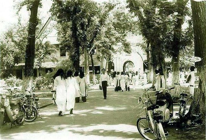  Những tà áo dài trong sân trường Gia Long. 