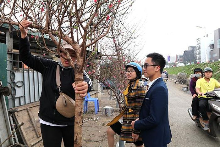 Những cành nở sớm giá cũng không quá cao, chỉ rơi vào khoảng từ 100 – 250.000 đồng/cành tùy từng loại.