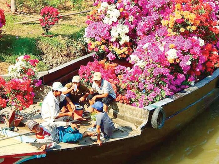 Người dân miền Tây đưa hoa kiểng ra phố chợ. Ảnh: CAO PHONG