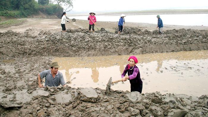 Người dân xã Hiền Đa, huyện Cẩm Khê ra quân nạo vét cửa khẩu lấy nước sông Thao phục vụ sản xuất.