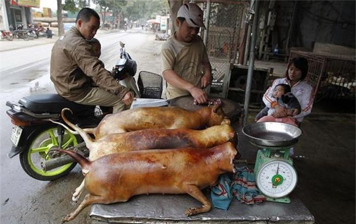 Người đàn ông Thái Lan này chuẩn bị ăn hai con thằn lằn sống