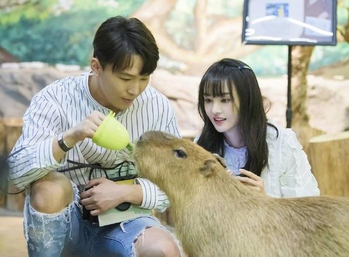  Hậu chia tay, cặp đôi xảy ra tranh chấp kinh tế và phải nhờ luật pháp giải quyết. 