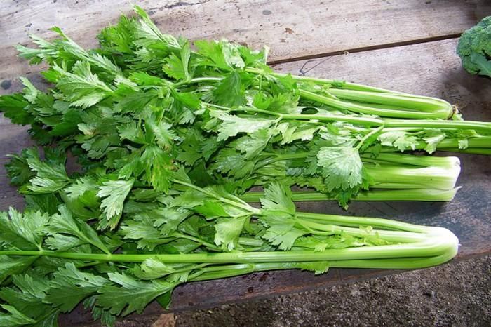 Cần tây là thực phẩm lợi tiểu, để tránh tình trạng thức dậy đi vệ sinh buổi đêm bạn tuyệt đối không nên ăn thực phẩm này. Ảnh minh họa: Internet