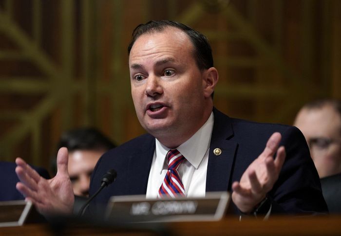 Ông Mike Lee, Thượng nghị sĩ đảng Cộng hòa bang Utah, rất không hài lòng với cách các quan chức chính quyền Tổng thống Donald Trump báo cáo quốc hội Mỹ về cuộc khủng hoảng với Iran