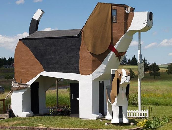  Đối với những người yêu thích động vật, đặc biệt là những chú chó thì The Dog Bark Park Inn ở Mỹ là một trong những điểm đến không thể bỏ qua 