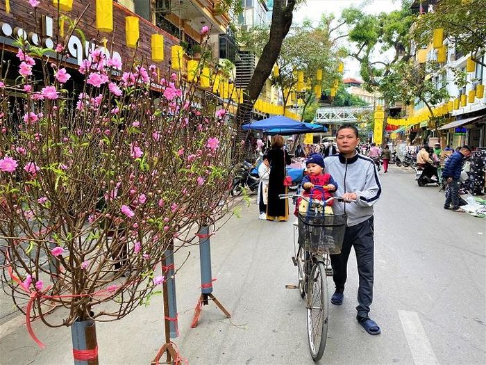 Từ 10/1, chợ hoa Hàng Lược đã khai mạc. Như mọi năm, những người bán đào, quất lại tập trung tại đây. Khu phố Hàng Lược như khoác lên mình một chiếc áo Xuân đầy màu sắc.