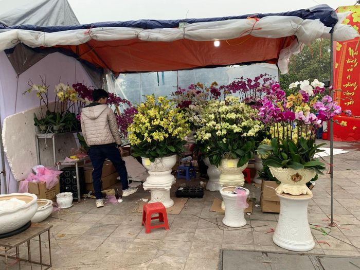 Gian hàng hoa lan
