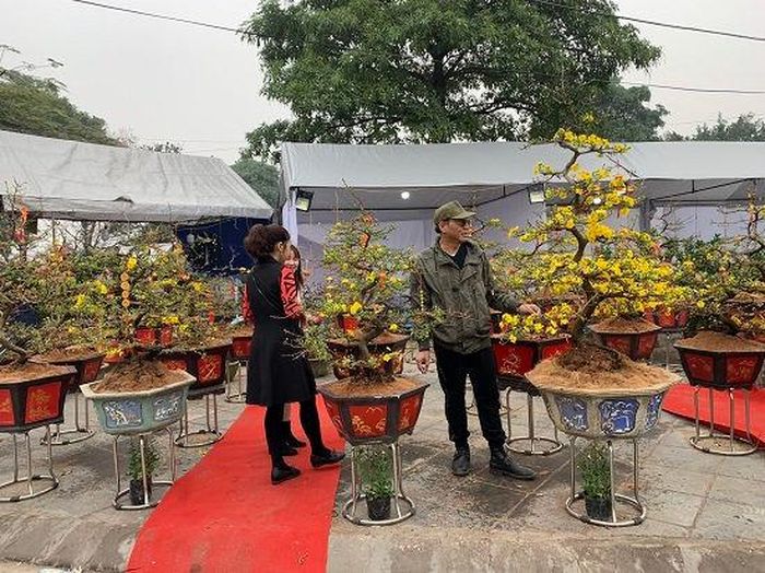 Gian hàng hoa mai của anh Trần Chí Quý