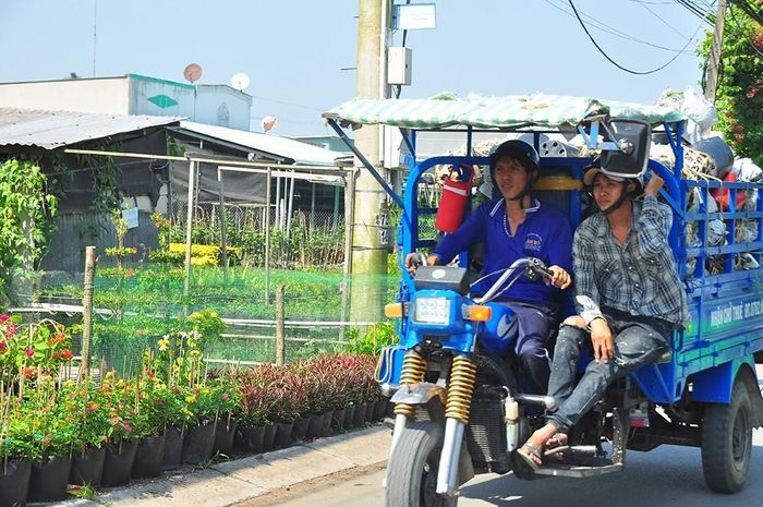 Xe chở hoa