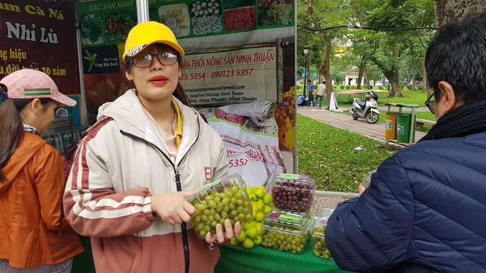 Chị Thu Hương, bán nho Ninh Thuận tại hội chợ Tết Hà Nội cho biết: "Nho xanh giá 80.000 đồng/kg, nho tím 50.000 đồng/kg. Mỗi ngày, quầy hàng bán vài chục kg nho và càng gần Tết nhu cầu mua nho tăng mạnh nên quầy hàng huy động nho từ các siêu thị lớn để kịp phục vụ".