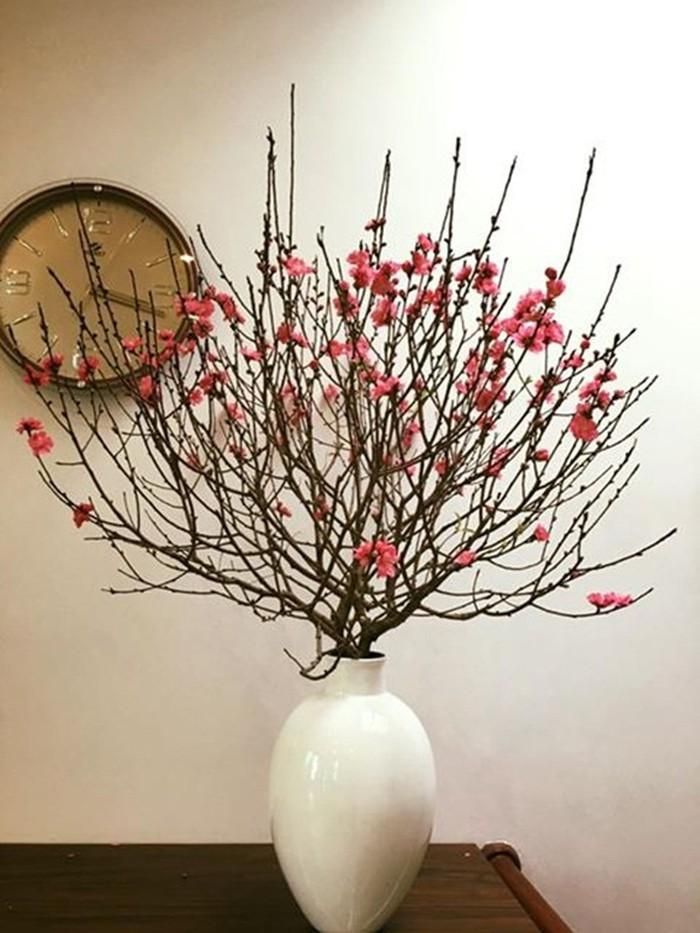 Chọn cành đào phải có tán tròn, không bị lệch