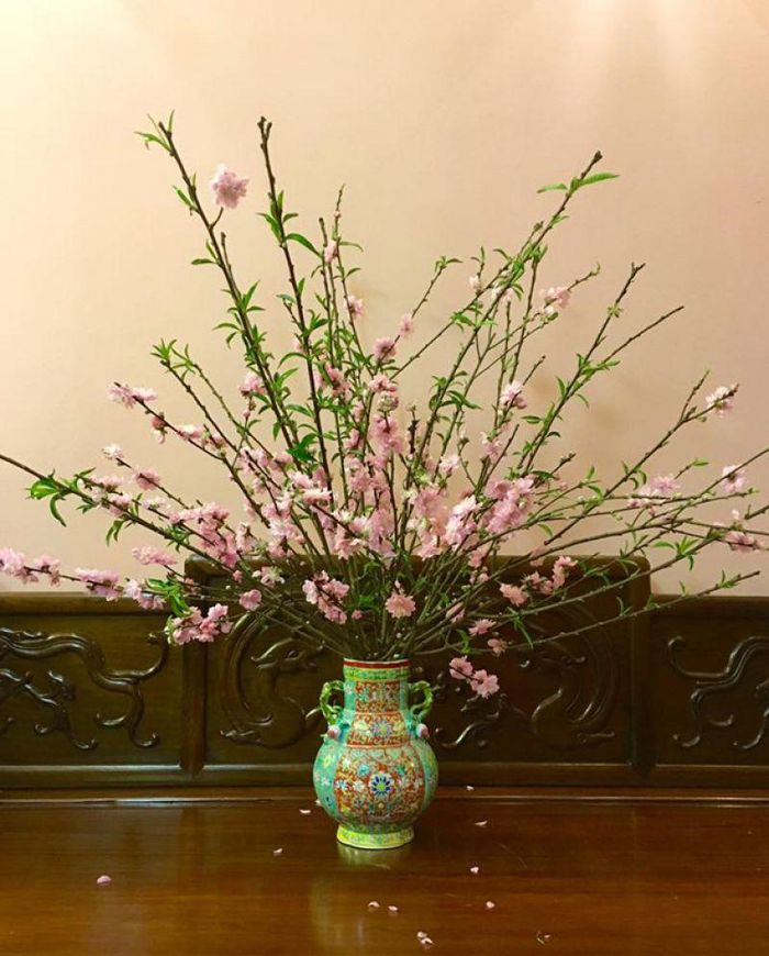 Tùy vào diện tích nhà mà chọn cành đào to hay nhỏ