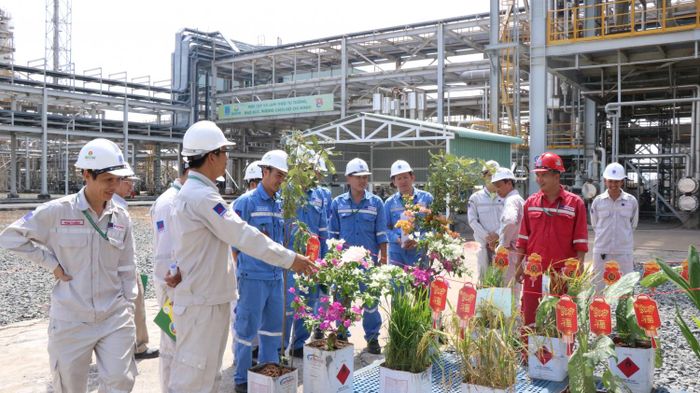 Các hoạt động trang trí Tết
