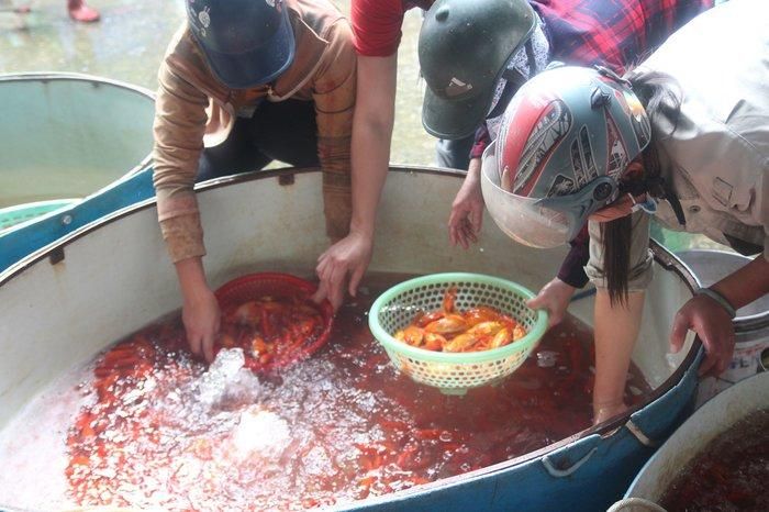 Tại chợ cá này, mặt hàng phổ biến nhất là cá chép đỏ loại nhỏ, với trọng lượng khoảng 4-5 con/1 lạng. Dù thương lái đổ cá về đây rất nhiều, nhưng sức mua từ các tiểu thương năm nay được đánh giá là chậm hơn so với những năm trước.