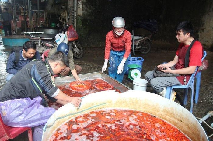  Chợ Yên Sở vốn vẫn được mệnh danh là chợ cá lớn nhất thủ đô Hà Nội. Cảnh người mua bán diễn ra tấp nập.