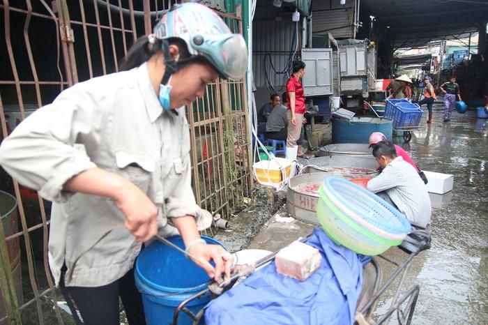 Theo đánh giá của chị Hà ở Gia Lâm, giá cá năm nay tăng hơn so với năm ngoái 10.000 đồng, tuy nhiên cá đều và đẹp hơn mọi năm.