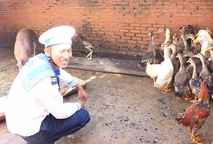 Chiến sĩ Đảo Đá Lớn C chăm sóc đàn gia súc, gia cầm. Ảnh: N.D