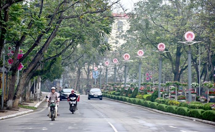 Đường phố Tuyên Quang vào xuân.