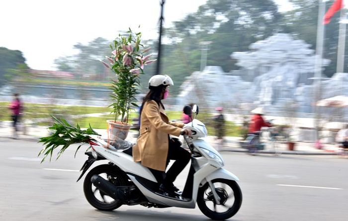 Người dân ưa chuộng hoa ly vào dịp Tết.