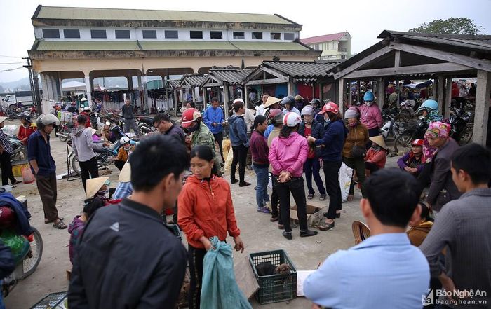 Khu vực bán chó con ở chợ Dùng luôn thu hút đông những người tò mò về mặt hàng độc đáo này. Đây cũng là đặc trưng riêng có ở phiên chợ giáp Tết. Ảnh: Lâm Tùng