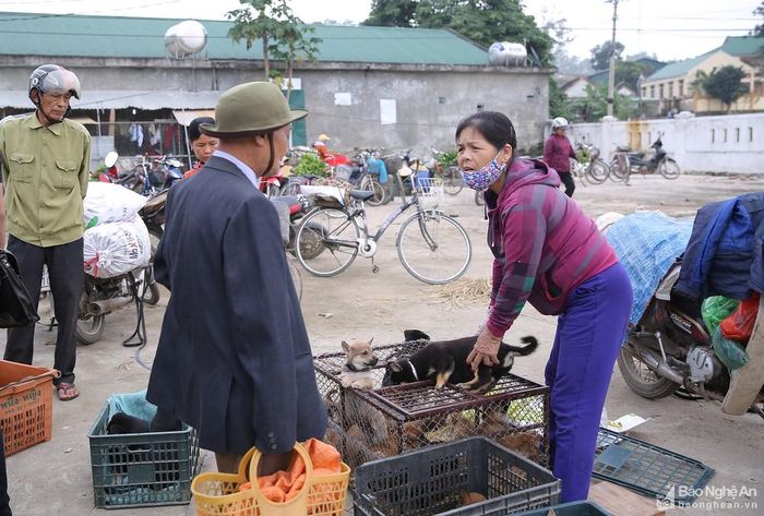 Chợ chó con ở Thanh Chương ngày càng nổi tiếng và trở thành một nét văn hóa độc đáo của địa phương. Nhiều người dân muốn tìm một chú chó đẹp về nuôi thường tìm đến đây vì vậy, nhiều thương lái ở các nơi cũng mang chó về đây để bán. Ảnh: Lâm Tùng