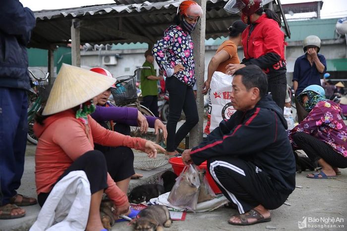 Ở khu vực bán chó con, không chỉ có người dân địa phương mà còn rất đông người dân từ các huyện Yên Thành, Đô Lương… tìm đến để mua bán. Ảnh: Lâm Tùng