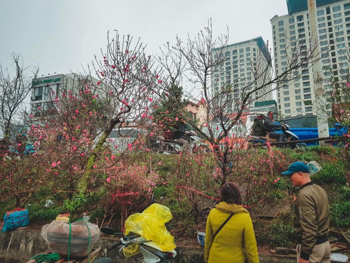 Khung cảnh nhộn nhịp cộng thêm thời tiết mưa phùn mang đến không khí Tết mà chỉ khi đến chợ hoa lớn nhất Thủ đô này mới cảm nhận được.