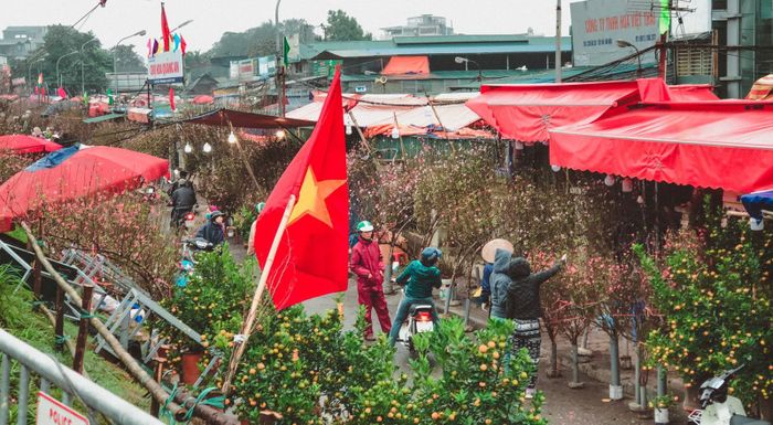 Hoa đào bán ở chợ Quảng An chủ yếu được tiểu thương mua lại từ những người nông dân trồng đào tại làng Nhật Tân.
