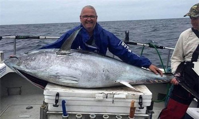 Cá ngừ có thể đạt chiều dài 119cm và nặng 36kg. Con đực có kích thước lớn hơn con cái. Lưng của nó có màu xanh sẫm và sáng, hai bên và bụng có màu trắng bạc. Vây ở bên có màu vàng. Cơ thể của nó có hình ngư lôi trong khi đuôi có hình lưỡi liềm. 