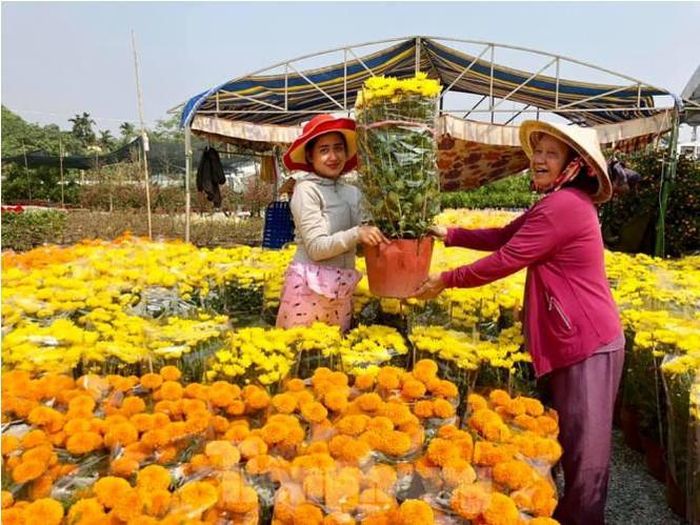 Khu vực chợ hoa Bình Dương tập hợp đủ loại hoa cảnh Tết
