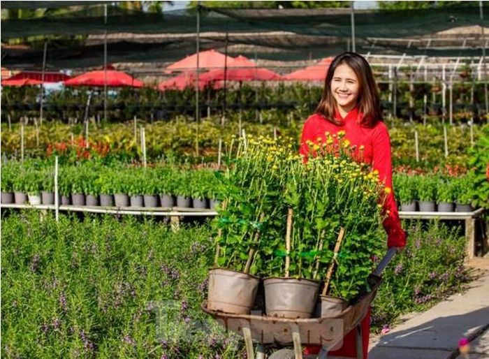 Một điểm bán hoa cảnh Tết tại khu vực bến Bạch Đằng, TP Thủ Dầu Một