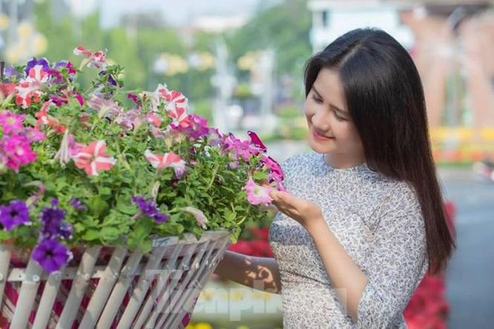 Trên đường phố Thủ Dầu Một được trưng những chậu hoa cảnh rất đẹp