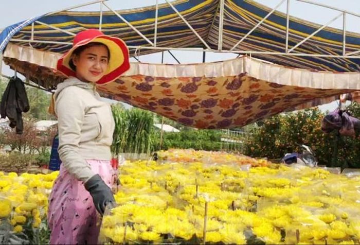 Tiểu thương cho biết, hoa Tết năm nay không cao hơn năm trước và người mua tương đối ổn định