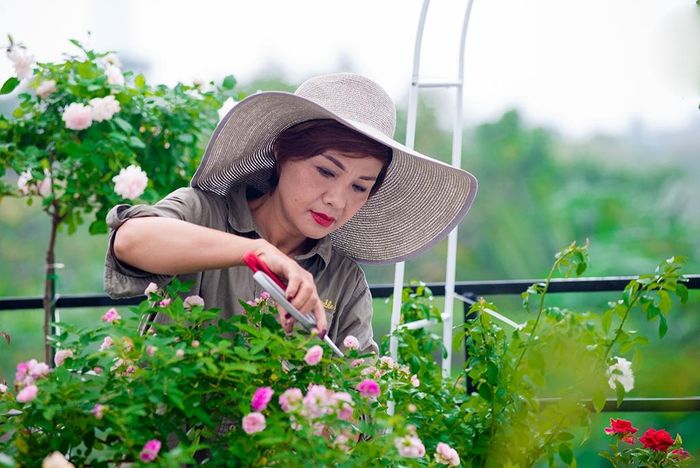 Tưới nước, tỉa cành thường xuyên