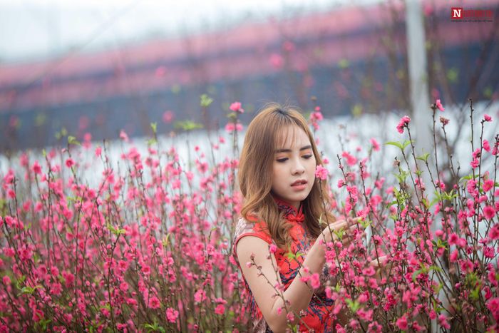 Nhiều chị em xúng xính áo dài chụp những bộ ảnh, lưu giữ những bức hình kỷ niệm trước Tết. 